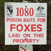 Booderee National Park Vertebrate Pest 1080 and Canid Pest Ejector (CPE) Program