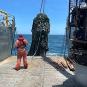 Credit Anindilyakwa Rangers