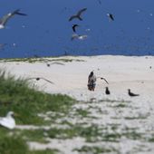 Coral sea marine debris clean-up