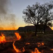 Cultural burning at Uluṟu-Kata Tjuṯa National Park