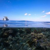 Ashmore Reef. Credit: Lauren Hardiman| CSIRO