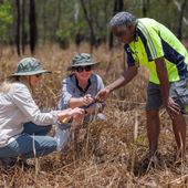 KNP research strategy