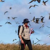 Coral Sea Marine Park health assessments