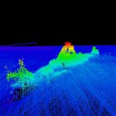 Rayville fledermaus deakin university2020 02 17.