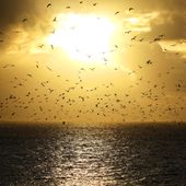 North Marine Parks Advisory Committee