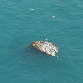 Ghost net floating in the ocean. Credit: Australian Fisheries Management Authority