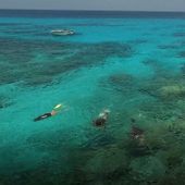 Ashmore reef coral sea 02 peter sayre.