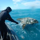 Attaching a tracker to a ghost net. Credit: Australian Fisheries Management Authority
