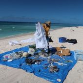 Parks australia officers sorting debris on cato island.