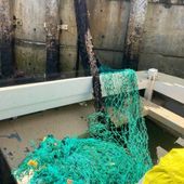 Ghost net retrieved from Norfolk Marine Park. Credit: Nic Johnson