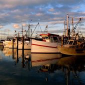 Boats in the marina