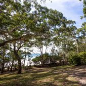 Green patch at Booderee