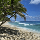 Researchers and rangers have to swim into the shore with their equipment and camping supplies to study the remote Pulu Keeling National Park. (credit Karina Sorrell)